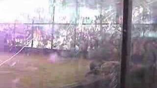 Robogames 06 Original Sin vs Compressor [upl. by Yllrebmik]