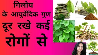 Giloy The Ayurveda Super Herb You Never Knew About [upl. by Eidnas399]