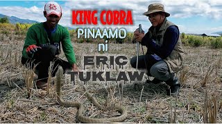 KING COBRA PINAAMO DIN NI ERIK TUKLAW [upl. by Onibas160]