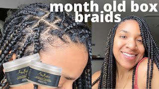 How to Revive Old Frizzy Box Braids  ft Shea Moisture Laydown Lacquer [upl. by Lohner280]