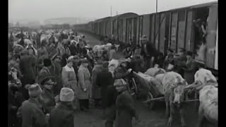 România anului 1947 marea foamete [upl. by Mairem]