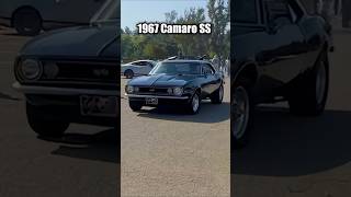 1967 Chevy Camaro SS • 1967chevycamaro 1967camaro [upl. by Arreyt]