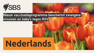 Nieuw vaccinatieprogramma beschermt zwangere vrouwen en babys tegen RSV  SBS Dutch  SBS [upl. by Meesaw]