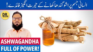 Ashwagandha Ke Fayde Ashwagandha Benefits For Men amp Women  Asgand  UrduHindi [upl. by Sivatnod]