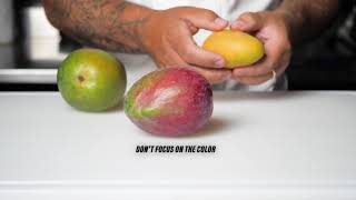 Choosing and Ripening Mangos [upl. by Georgeta]