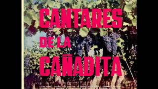 Cantares de la Cañadita  Adiós mi Vida [upl. by Ilse]