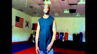 Professor Watts of the Wing Chun and Chun Jitsu Ryu system Pt 2 [upl. by Esyak734]