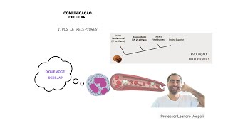 Farmacologia Farmacodinâmica tipos de receptores [upl. by Ailito546]