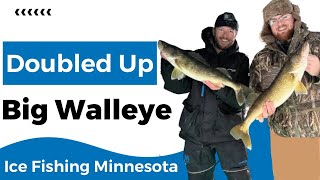 Multiple Big Walleyes Ice Fishing [upl. by Orozco]