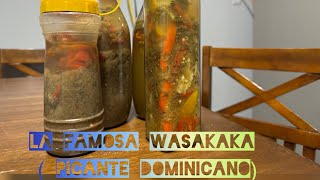 La famosa wasakaka  Picante dominicano [upl. by Buzzell]