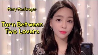 Torn Between Two Lovers Mary MacGregor  Cover by 신미래Shinmirae [upl. by Darryl]