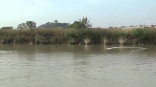 TFL Hobby  Genesis RC Boat Maiden run [upl. by Yemane]