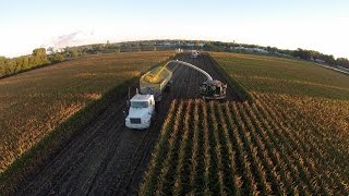 Riverview LLP Silage Chopping 2014 [upl. by Glenn336]