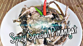 Spicy Special Pinangat  How to make Bicol Recipe [upl. by Hadria283]