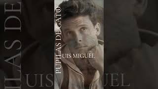 LUIS MIGUEL  PUPILAS DE GATOluismiguel mexicansinger contentcreator [upl. by Nylireg]