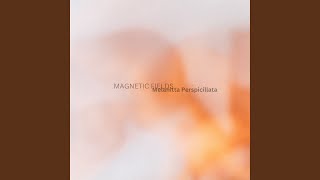 Magnetic Fields [upl. by Yve]