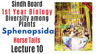 Sphenopsida Horse Tails Diversity among plants  1st year biology Sindh text book board new book [upl. by Elletsirk]