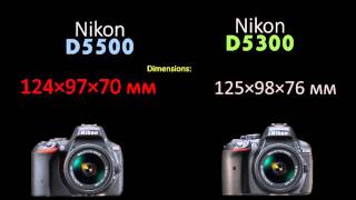 Nikon D5500 vs Nikon D5300 [upl. by Thill]