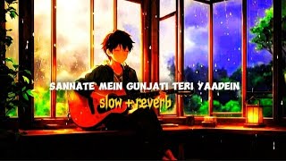 Sannate Mein Gunjati Teri Yaadein😌🥀🎧sadsong slowedandreverb lovesong [upl. by Meekar]