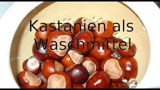 Kastanien als Waschmittel [upl. by Allicerp]