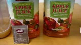 Quick amp Easy Hard Apple Cider [upl. by Holna]