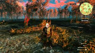 witcher 3 Crossfire r9 280x dont work YET [upl. by Hadeis]