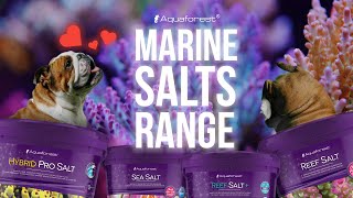 What do you feed your reef with  Aquaforest Salts [upl. by Nerek]