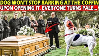 Dog Interrupts Funeral and Priest Gets Nervous Seeing It Barking at the Coffin [upl. by Katzir]