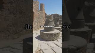 Time Capsule Unlocked Pompeiis Last Day Revealed [upl. by Neeka]