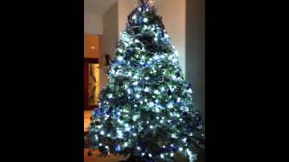 Rotating Live Christmas Tree [upl. by Gelasias]