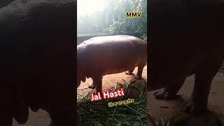 Jal hasti  Dhaka shorts youtubeviral [upl. by Htaek]