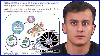 UNICAMP 2024  Os lisossomos são organelas centrais que desempenham funções importantes para a homeo [upl. by Anailuy655]