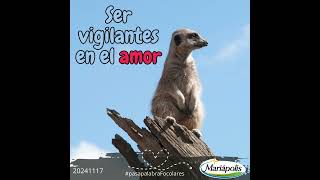 20241117 Ser vigilantes en el amor shorts pasapalabra [upl. by Ecinrev419]