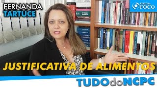 Justificativa do devedor na execução de alimentos no NCPC  Prof Fernanda Tartuce [upl. by Eenimod]