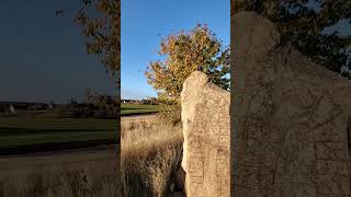 РУНИЧЕСКИЙ КАМЕНЬ SIGGE на Kållandsö🇸🇪Западная Швеция runestone sweden викинги vikings [upl. by Atinod]