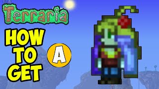 Terraria how to get CHROMATIC CLOAK EASY  Terraria 144x Chromatic Cloak [upl. by Hadihsar794]