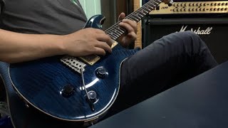 PRS CE22 MapleTop 2001 [upl. by Terr]