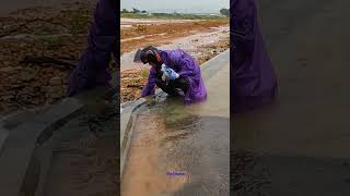 Removal Releasing Flood Of Water viral flashflood drainage satisfying [upl. by Inol]