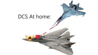 DCS at home [upl. by Ellek]