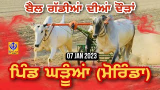 🔴Live Gharuan  Morinda  ਬੈਲ ਗੱਡੀਆਂ ਦੀਆਂ ਦੌੜਾਂ  Ox Races  07 Jan 2024 [upl. by Notyep675]