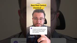 🤔 Best Pest Control Chemical shorts pestcontrol [upl. by Junji]