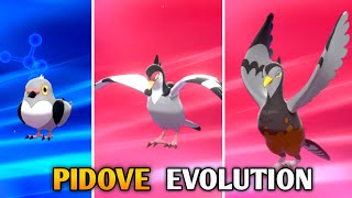 Pidove Evolution In Pokemon Sword amp Shield  Galar Pokedex [upl. by Anelra]