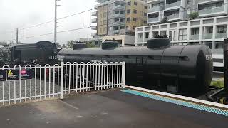 NSWGR 4501  4201 amp 6029 Garratt at Thornleigh Part 2 [upl. by Yanttirb]