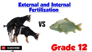 External and Internal Fertilization  Grade 12 [upl. by Ymer]