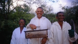 Celebrating Beekeeping Casa Apis [upl. by Loomis547]