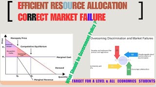 Government Policies to Achieve Efficient Resource Allocation and Correct Market Failure [upl. by Alverson]