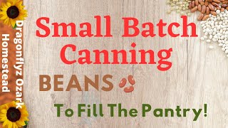 Small Batch Canning Beans How To [upl. by Leivad]