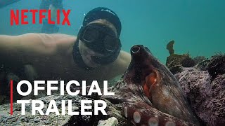 My Octopus Teacher  Official Trailer  Netflix [upl. by Nikral]