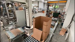 Bags Palletizing robot with vacuum system for carton pallet  Europack Winner [upl. by Jaddan943]