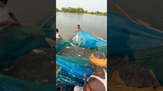 how fishing net work animation net fishing in river [upl. by Bein825]